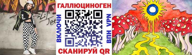 Псилоцибиновые грибы Psilocybe  Малая Вишера 