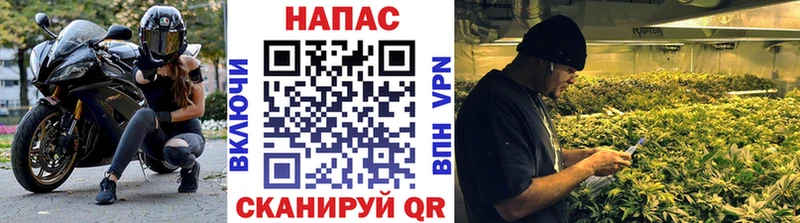 МАРИХУАНА Amnesia  Малая Вишера 